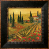 Poppies of Toscano I