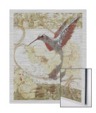 Humming Bird II