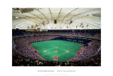 Metrodome  Minneapolis