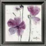 Pansies VI