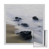 The Coast