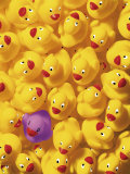 Quack  Quack I