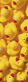 Quack  Quack III