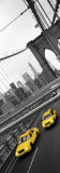 Two Yellow Cabs