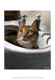 Orange Cat in the Sink