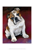 Bulldog Baby