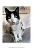 Pretty Girl Cat