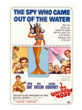 The Glass Bottom Boat  with Edward Andrews  Doris Day  Arthur Godfrey  and Rod Taylor  1966