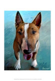 Spike Bull Terrier