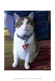 Elvis Cat