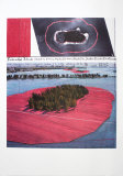 Surrounded Islands  Project for Biscane Bay  Greater Miami  Collage in Two Parts