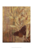 Copper Meadows II