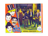 Animal Crackers  Harpo Marx  Zeppo Marx  Groucho Marx  Chico Marx  Margaret Dumont  1930