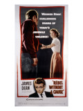 Rebel Without a Cause  James Dean  Natalie Wood  1955