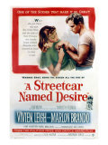 Streetcar Named Desire  Vivien Leigh  Marlon Brando  1951