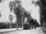 California Citrus Heritage Recording Project  Magnolia Avenue  Riverside County  1920-1930