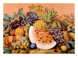 'Garden  Orchard and Vine ' Summer Furits  1867