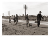 Homeless Migrant Family of Seven  Walking the Highway from Phoenix  Arizona  1939