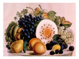 Autumn Fruits  1861