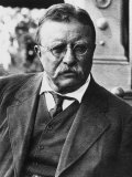 Theodore Roosevelt  1900's