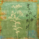 Eco-Floral II