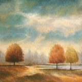 Light and Shadows I