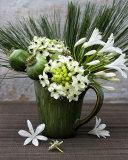 Flowers in a Vase