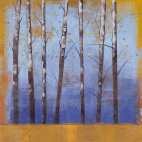 Birch Trees II