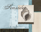 Scrapbook Shell II