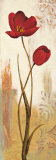 Panneau Tulipe