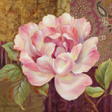 Esperance Rose