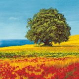 Albero Sul Mare I