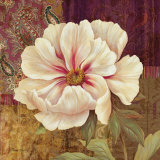 Esperance Peony
