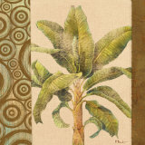 Parlor Palm I