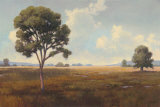 Lost River I