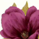 Grandiflora Blush II