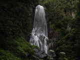 Hemlock  spruce trees and a waterfall on central Chichagof Island