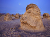 Mounds of root systems exposed as a result of constant winds
