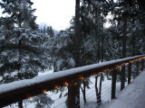 Early morning in the Mendenhall Valley at an inn in Juneau
