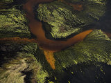 Seaweed and sand form a crossing pattern along the Atlantic shoreline