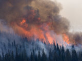 The Red Eagle wildfire of 2006
