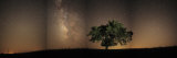 Stars shine brightly above the Tallgrass Prairie Preserve
