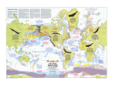 Great Whales  Migration And Range Map