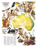 Australia  Land Of Living Fossils Map 1979