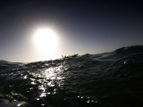 Canoe fishermen in the waters off of Dakar