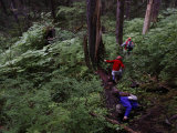 Conservationists with their daughters hike on Moser Island