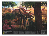 Dawn on the Delta Map 1993