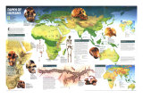 Dawn Of Humans Map