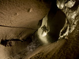 A caver drops down the entrance shaft to McBride Cave