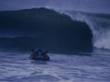 A hippopotamus surfs the waves off the coast of Gabon